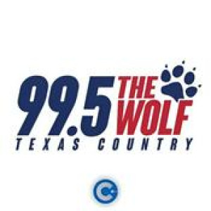 The Wolf live