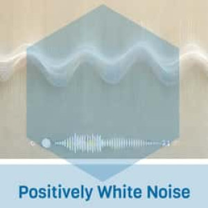 Positively White Noise Radio