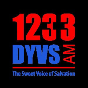 1233 DYVS