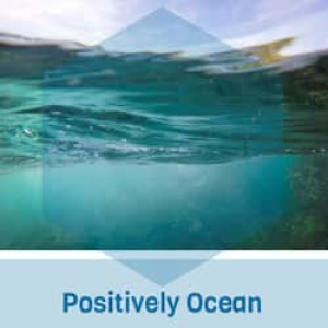 Positively Ocean Radio
