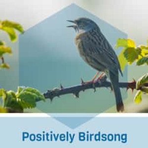 Positively Birdsong Radio