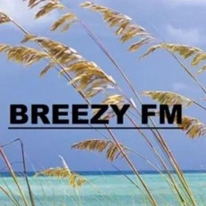 Breezy FM : Narsampet
