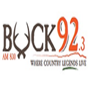 Buckin' 92