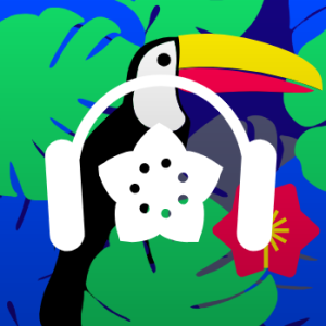 Tropical House - 1.FM Radio