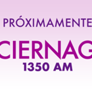 Luciérnagas 1350 en vivo