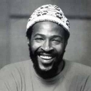 Marvin Gaye - HITS