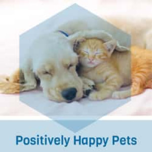 Noel Edmonds’ Positively Happy Pets Radio